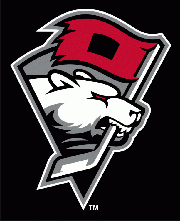 Charlotte Checkers 2010 11-Pres Alternate Logo iron on transfers for T-shirts
